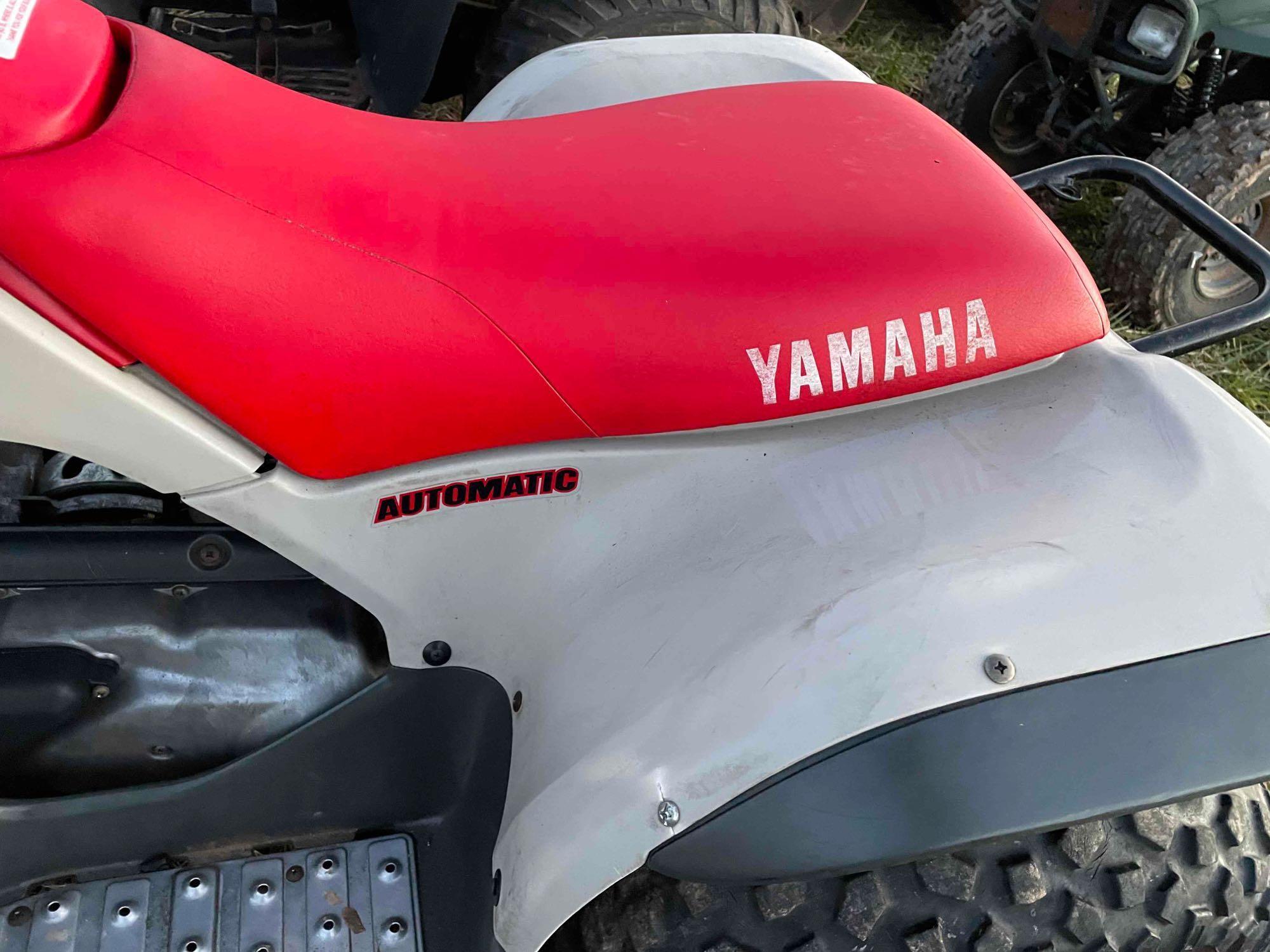 Yamaha Breeze 125 Fourwheeler