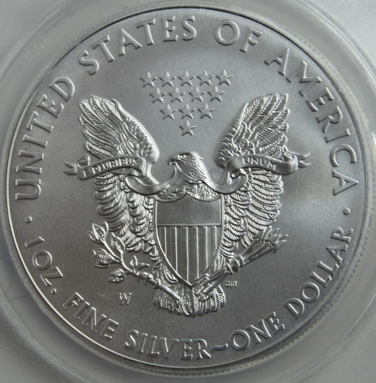 2013-W BURNISHED AMERICAN SILVER EAGLE