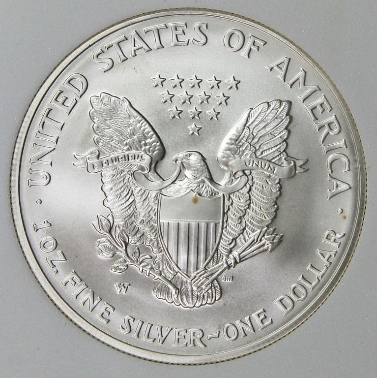 2007-W AMERICAN SILVER EAGLE