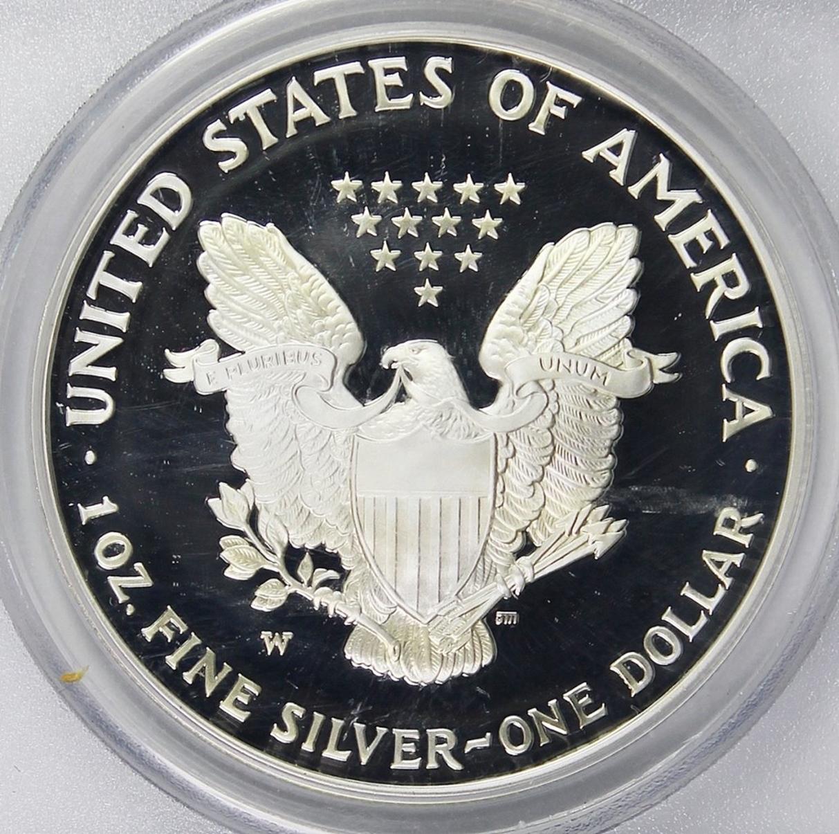 2006-W AMERICAN SILVER EAGLE