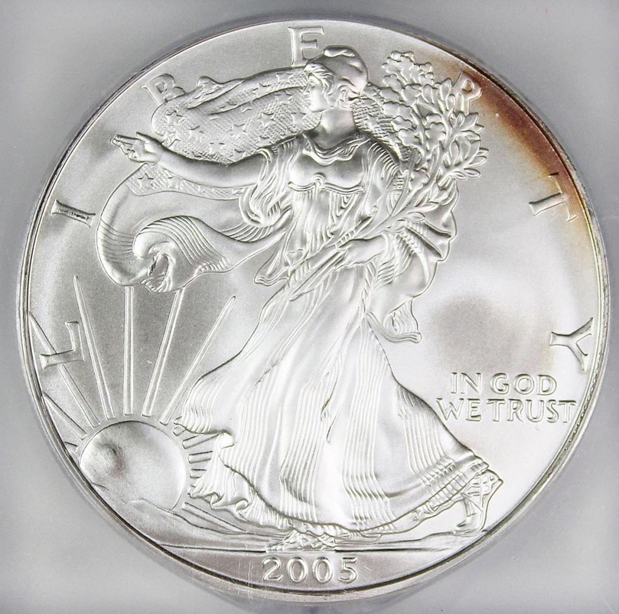 2005 AMERICAN SILVER EAGLE