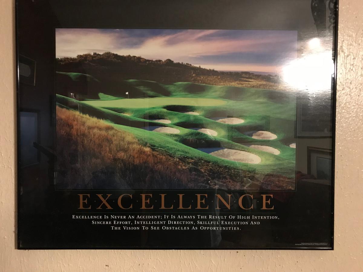 Successories "Excellence" Framed Picture