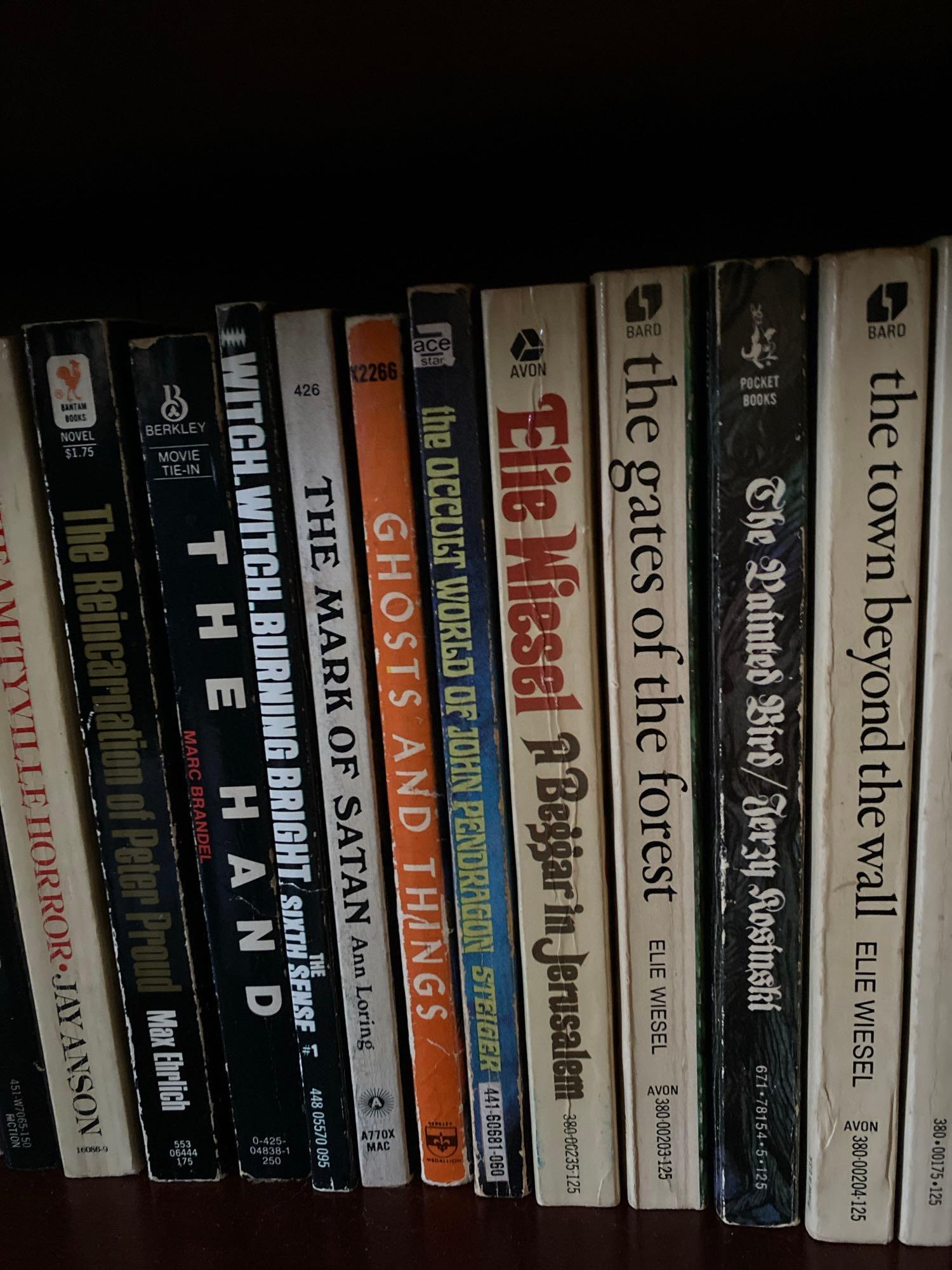 38 Assorted Paperback Horror Novels