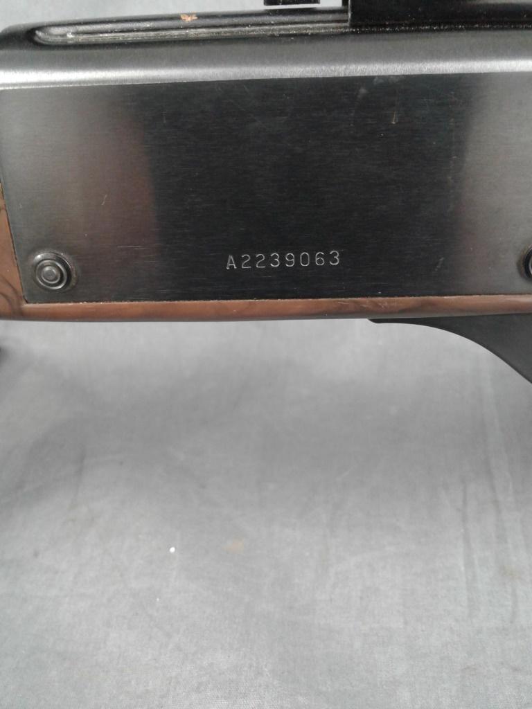 Remington Semi-Auto .22 Rifle w/Scope