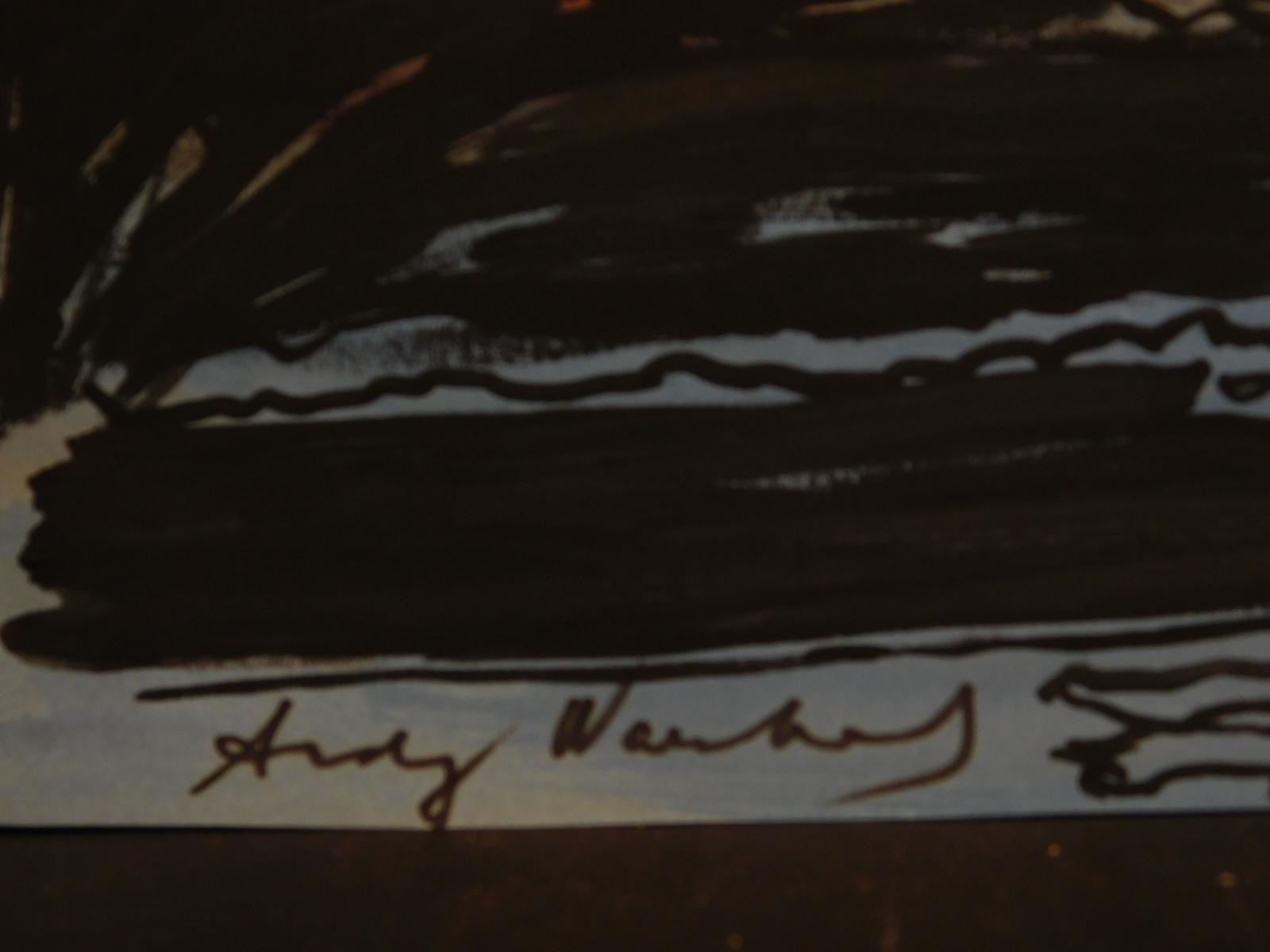 Andy Warhol: Mount Vesuvius