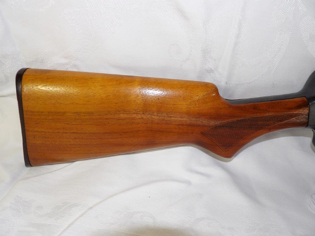 Remington sportsman