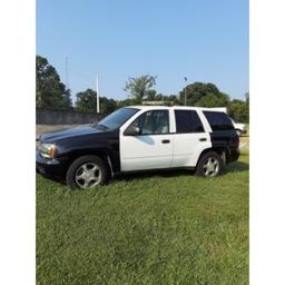 2008 Trailblazer