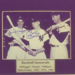 Dimmagio Mantle Williams Triple Signed Matted Photo