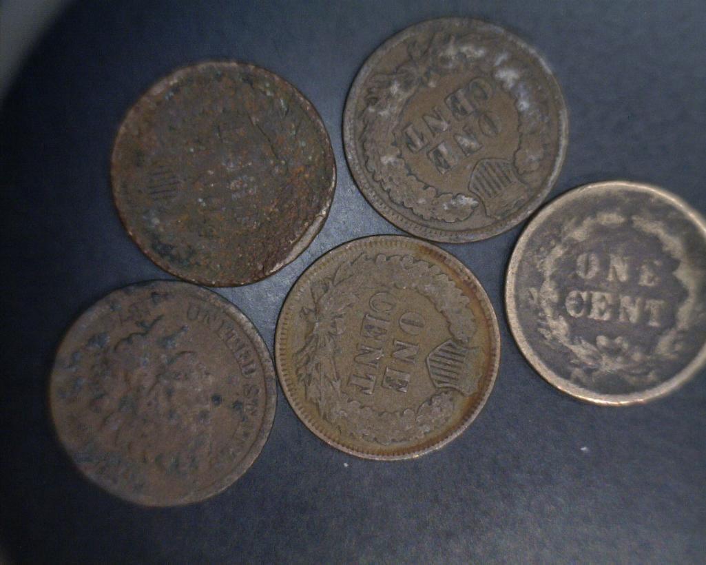 Indian Head Cents (5)