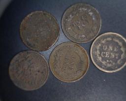 Indian Head Cents (5)