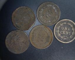 Indian Head Cents (5)