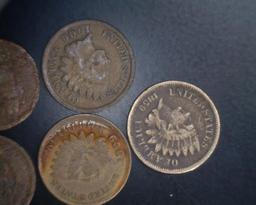 Indian Head Cents (5)