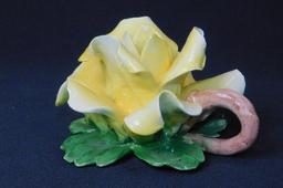 Capodimonte Porcelain Flowers