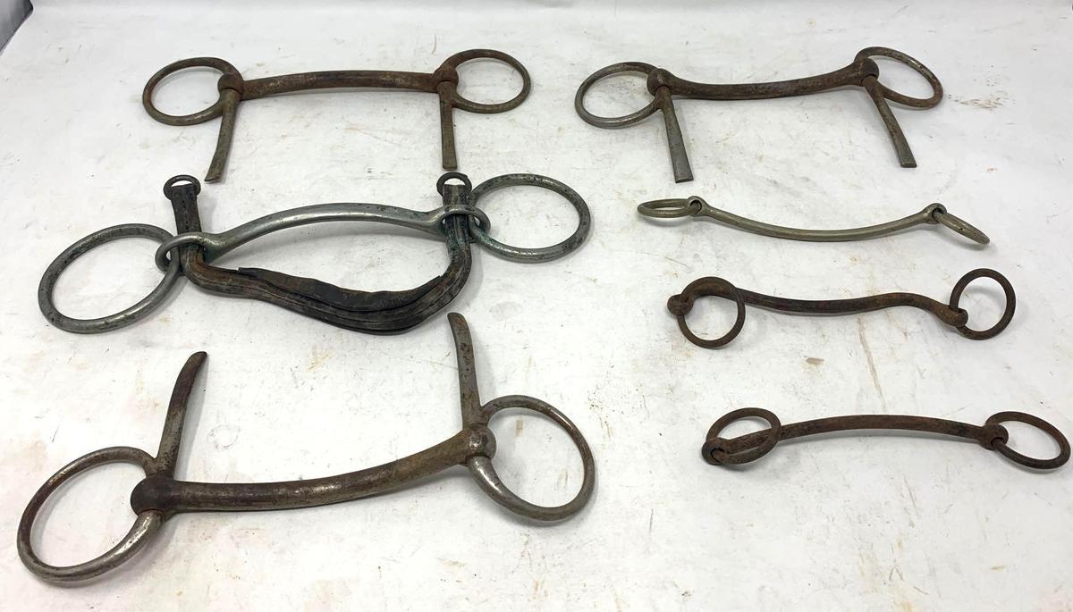 Seven Horse Driving Bits