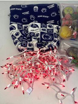 Penn State Zipper Bag, Frosted Fruit and String of Red Lights