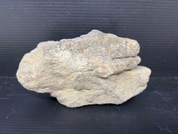 Domal (Digitate) Stromatolite