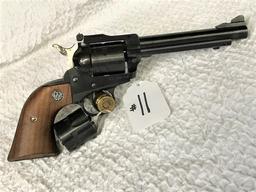 Ruger Single 22LR