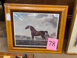 FRAMED HORSE PRINT "SWEET WILLIAM"