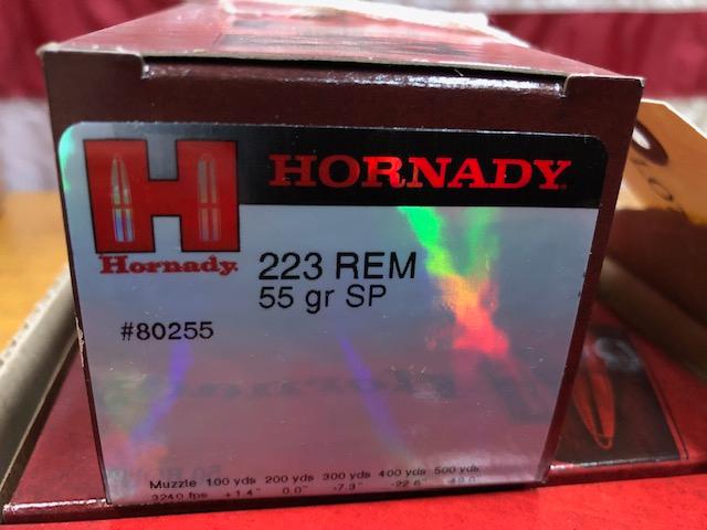 (10)  BOXES HORNADY 223REM