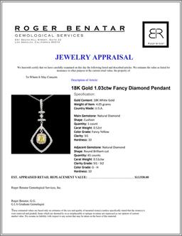 18K Gold 1.03ctw Fancy Diamond Pendant