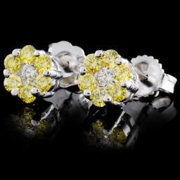 18K White Gold 0.50ctw Fancy Color Diamond Earring