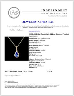 14K Gold 0.68ct Tanzanite & 0.22ctw Diamond Pendan