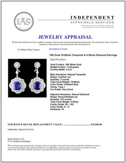 18K Gold 16.98ctw Tanzanite & 4.55ctw Diamond Earr