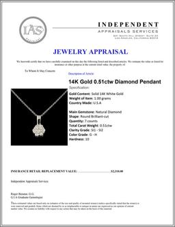 14K Gold 0.51ctw Diamond Pendant