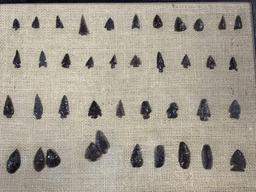 (40) Great Basin Obsidian Arrowheads
