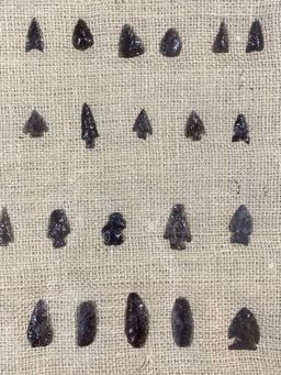 (40) Great Basin Obsidian Arrowheads