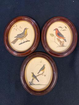 (3) Framed Oval Bird Prints 8" x 7"