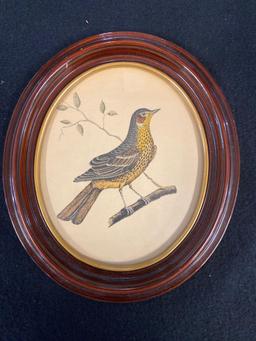 (3) Framed Oval Bird Prints 8" x 7"