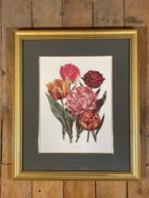 Botanical Print Of Tulips