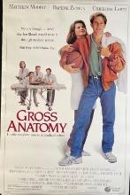 Gross Anatomy