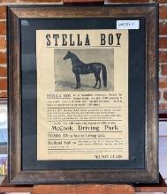 Original Ad ?Stella Boy? (1908)