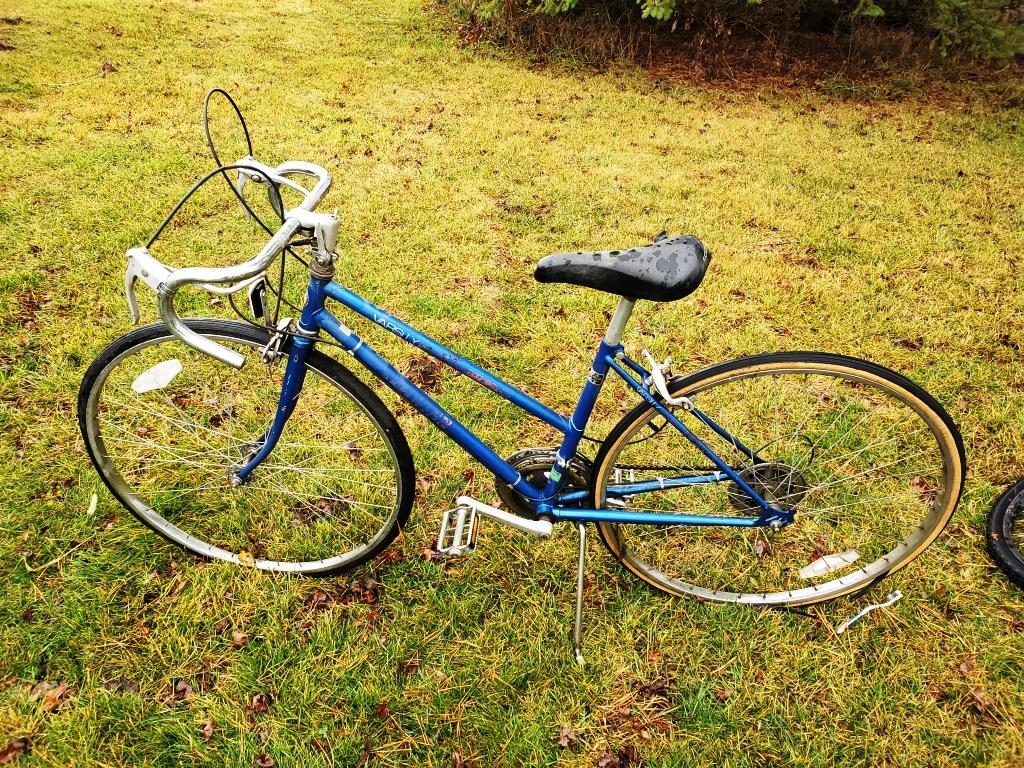 Schwinn Varsity Bike