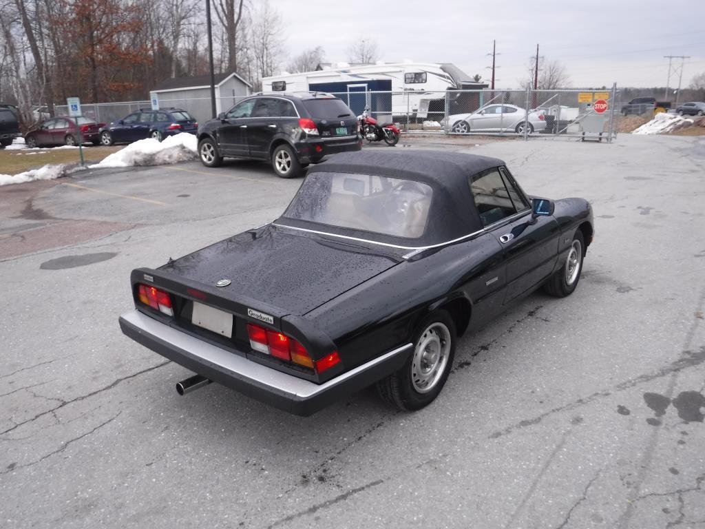 1987 Alfa Romeo Spider