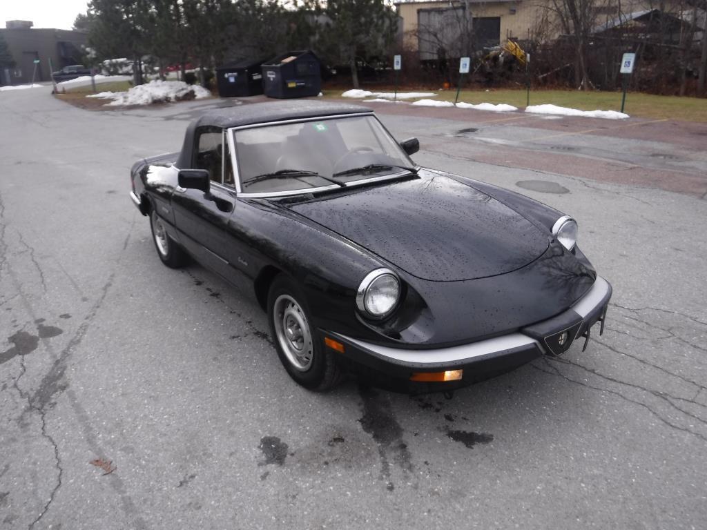 1987 Alfa Romeo Spider