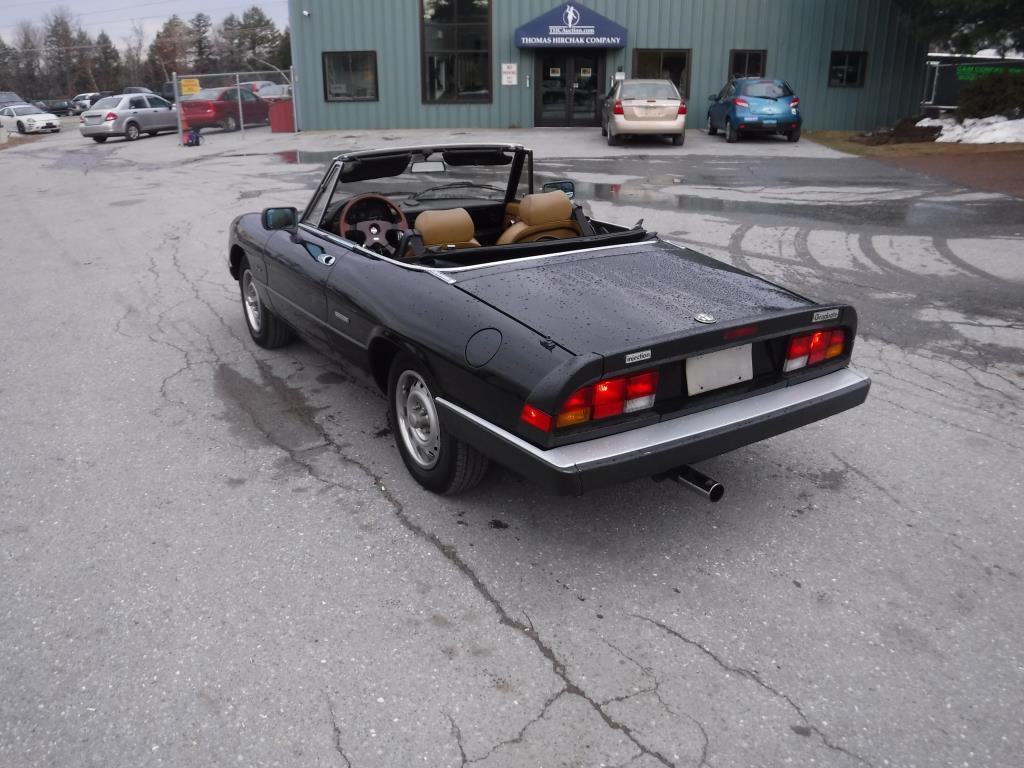 1987 Alfa Romeo Spider