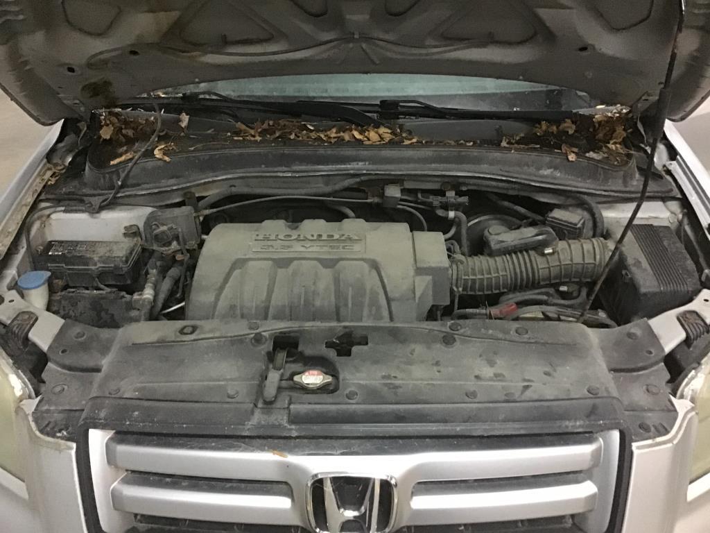 2006 Honda Pilot