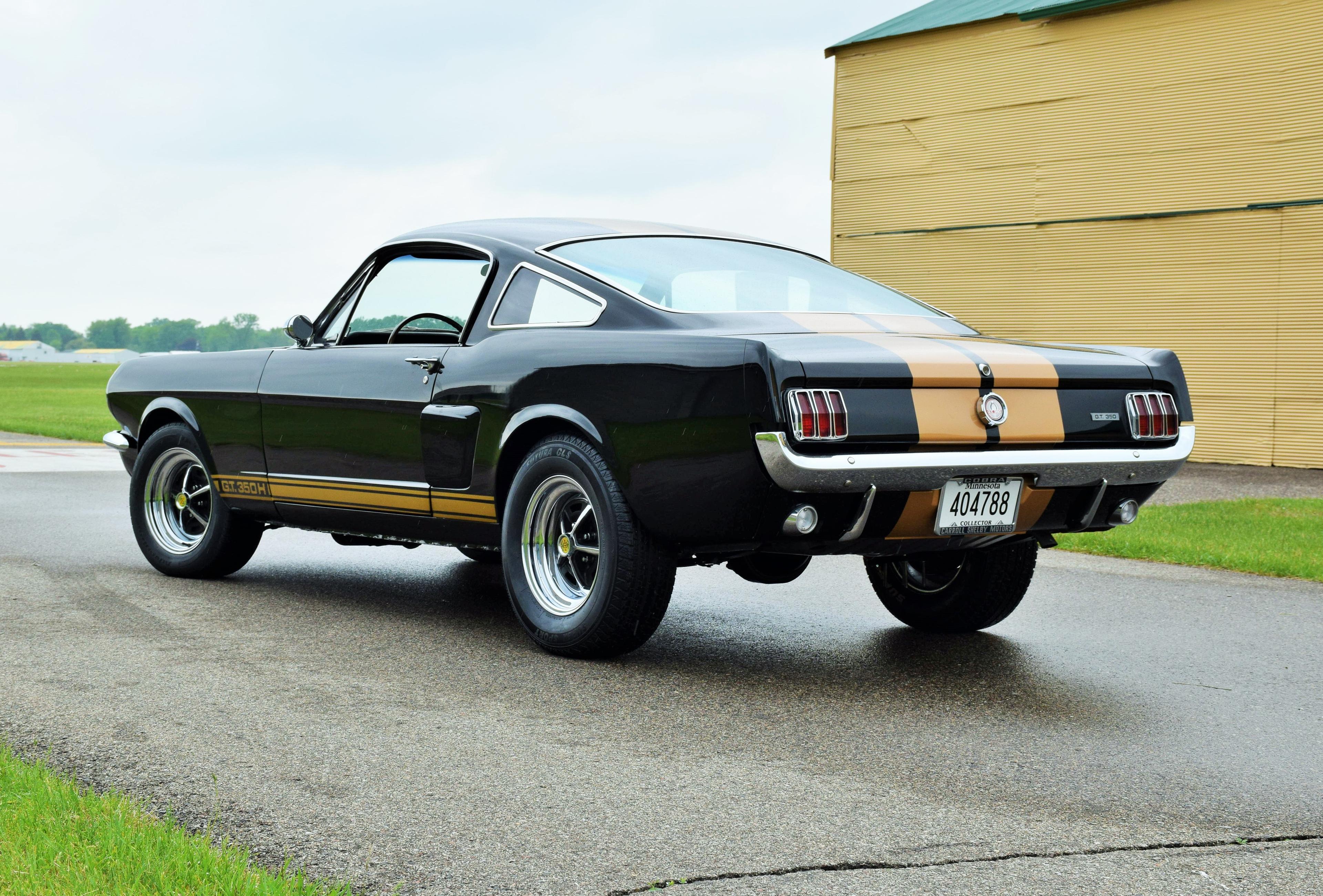 1966 Shelby GT350 Hertz Tribute