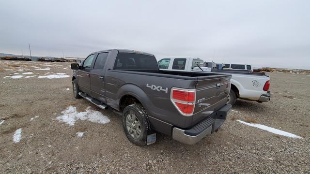 (X) 2009 FORD F150 XLT 4X4 CREW CAB PICKUP, VIN: 1FTPW14V39KA9KA23122, P/B: 5.4L