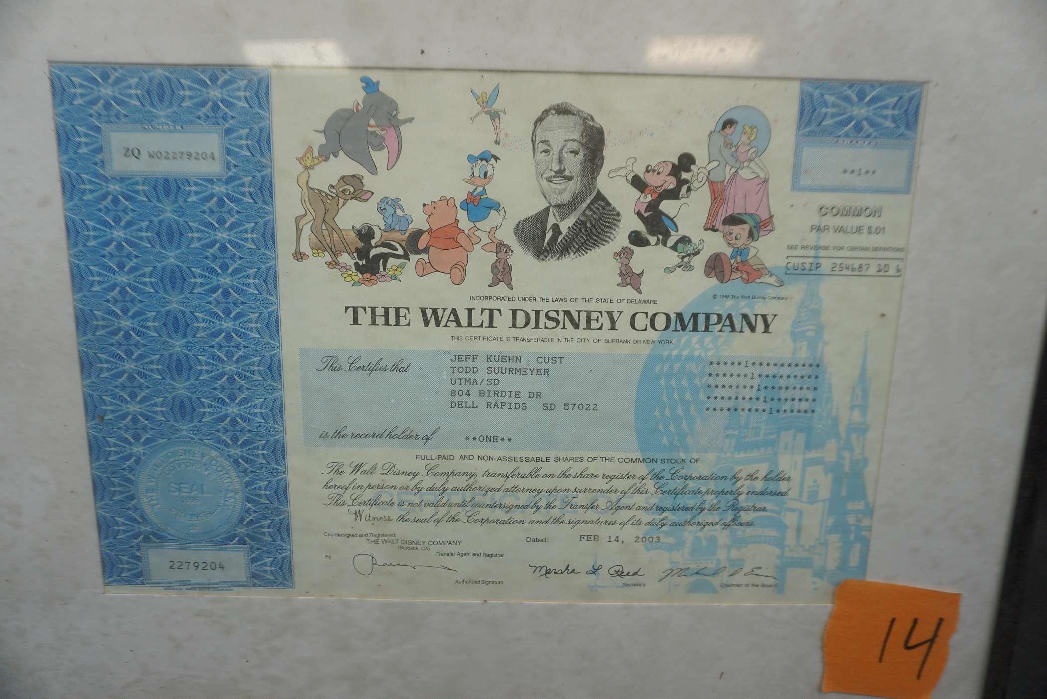 Framed The Walt Disney Company Shareholder Certification