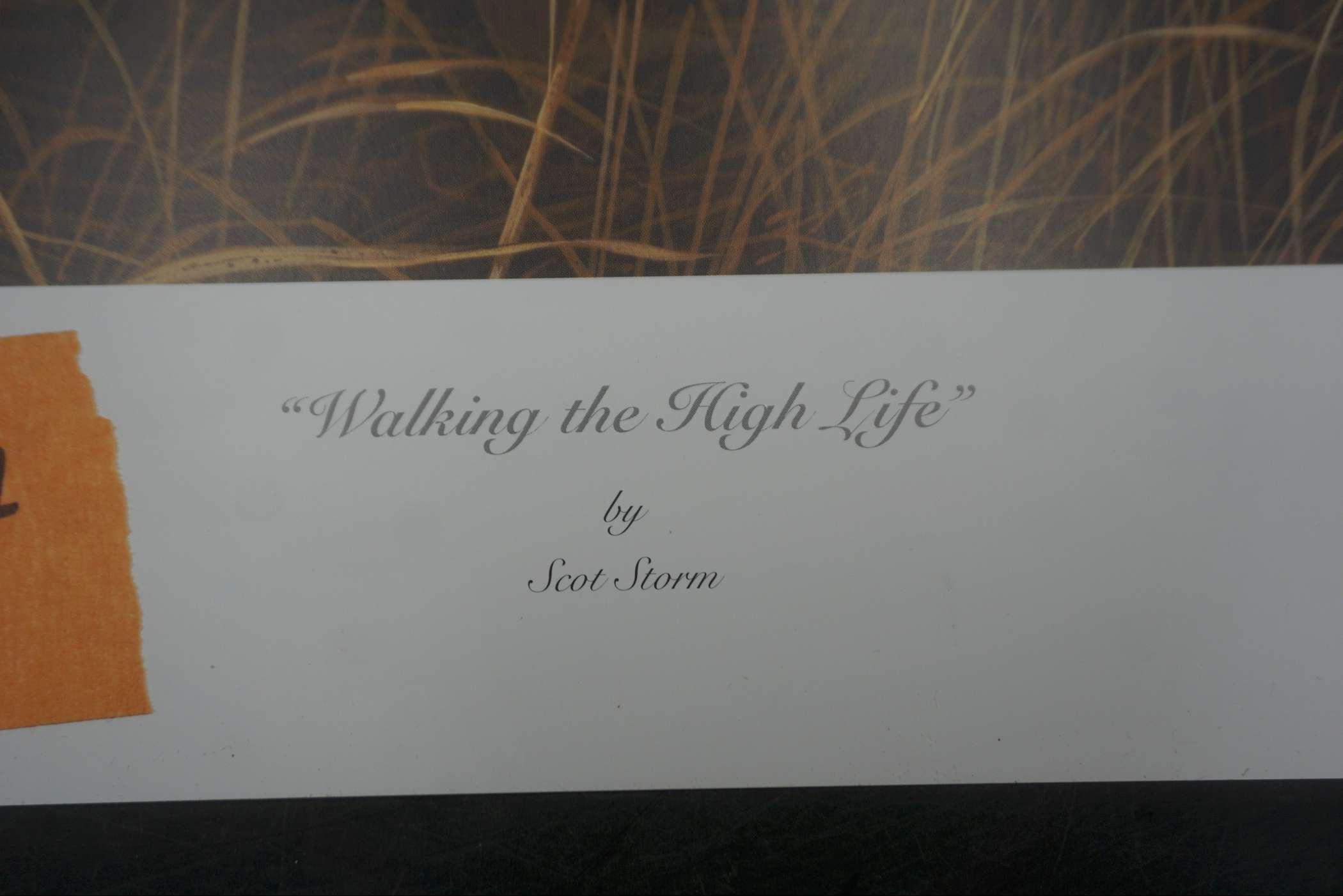 "Walking The High Life" By Scot Storm Signed & Numbered 990/1000