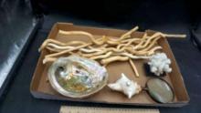 Sea Shells, Wooden Sticks, Magnifying Glass