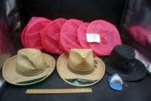 Assorted Hats (One Has Damage), Hat Ornament & Mesh Organizer