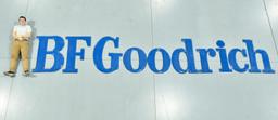 Large BF Goodrich Tire Dealership Individual Porcelain Letters Sign Complete