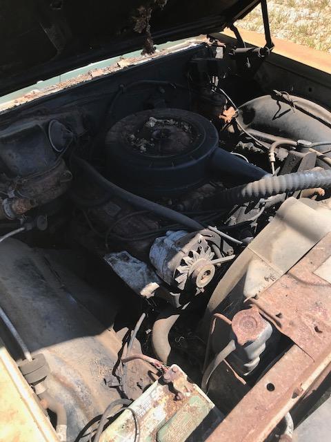 1967 Buick Special (project)