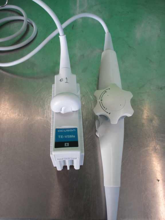 Siemans TE-V5Ms Transducer