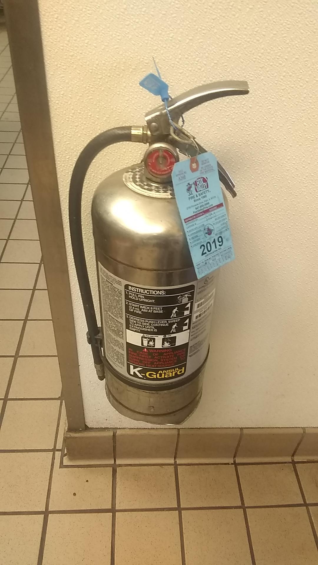 Wet fire suppression extinguisher